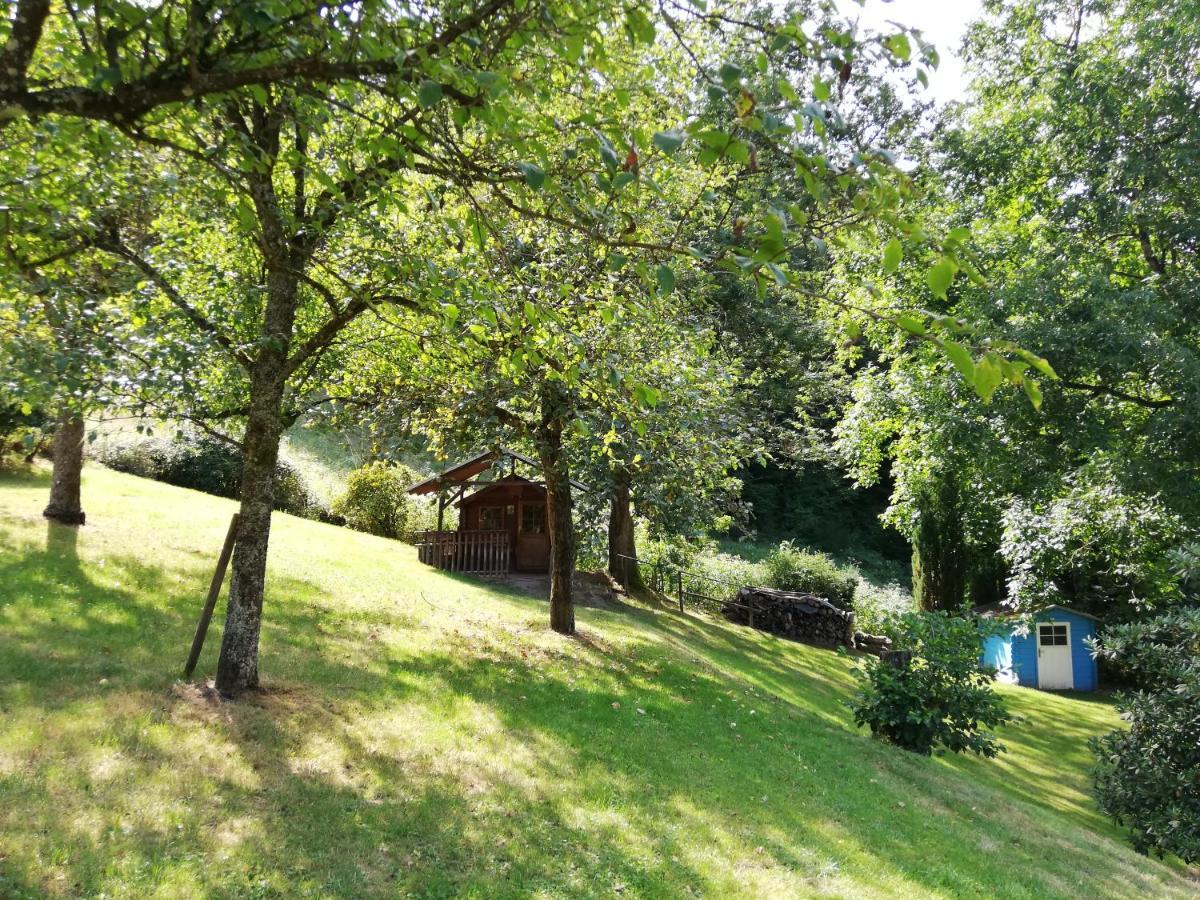 Chalet Madeleine - 160 Qm Ferienhaus Baden-Baden Extérieur photo